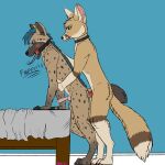  1:1 absurd_res anthro athene_averheim ball_gag bed bodily_fluids canid canine cum fennec fox furniture gag genital_fluids hi_res hyaenid kete_wawakari knot male male/male mammal mechanical_monster_factory party_horn spotted_hyena 