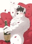  2016 5_fingers alcohol anthro beverage big_muscles black_hair black_nipples black_nose blush champagne charlie_o&#039;conner fingers flower_petals fur hair hand_behind_head hi_res humanoid_hands kikuro looking_at_viewer male mammal muscular muscular_anthro muscular_male nipples nude petals polar_bear rose_petals sitting solo ursid ursine white_body white_fur wristband 