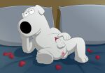  absurd_res anatomically_correct anatomically_correct_genitalia anatomically_correct_penis animal_genitalia animal_penis anthro anus balls bed brian_griffin canid canine canine_penis canis domestic_dog family_guy furniture genitals hi_res looking_at_viewer magzol male mammal penis penis_tip sheath solo 