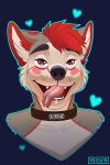  2:3 absurd_res ahegao bodily_fluids canid canine canis collar cum cum_on_tongue domestic_dog fur genital_fluids grey_body grey_fur hair headshot_portrait hi_res husky looking_pleasured male mammal nordic_sled_dog polosatik portrait red_body red_eyes red_fur red_hair solo spitz teeth tongue tongue_out white_body white_fur 