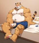  2021 absurd_res anthro bed belly blush bodily_fluids clothing erection felid furniture genital_fluids genitals hi_res humanoid_genitalia humanoid_hands humanoid_penis jumperbear kemono male mammal moobs navel nipples overweight overweight_male pantherine penis precum sitting solo tiger underwear 