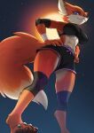  abs anthro breasts canid canine clothed clothing female fox fur hand_on_hip kittell_(artist) low-angle_view mammal multicolored_body multicolored_fur solo two_tone_body two_tone_fur 