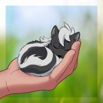  1:1 black_body black_fur blurred_background carrying coffinsmokes disembodied_hand duo eyes_closed feral fur hair holding_character human male mammal mephitid odd_taxi shun_imai_(odd_taxi) skunk white_body white_fur white_hair 
