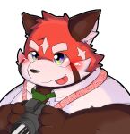  2021 ailurid anthro biped black_nose blush brown_body camera clothed clothing kemono lifewonders male mammal necktie portrait red_body red_panda shirt solo tokyo_afterschool_summoners tongue tongue_out topwear utamu_d28 video_games zhurong_(tas) 
