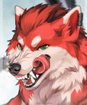  5:6 ambiguous_gender black_lips black_nose canid canine eager face_focus feral fur green_eyes hi_res licking licking_lips lips looking_at_viewer mammal open_mouth piercing red_body red_fur sharp_teeth solo teeth tongue tongue_out white_body white_fur windwttom 