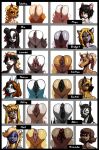  accessory alexi_(wsad) anthro arctic_wolf bernese_mountain_dog bittenhard black_body black_fur black_hair blonde_hair blue_body blue_eyes bobtail_cat braided_hair bridget_(wsad) brown_body brown_eyes brown_fur brown_hair canid canine canis chart clitoral_hood clitoris clitoris_piercing collie domestic_cat domestic_dog dragon equid equine eyeshadow felid feline felis female fox fur genital_piercing genitals german_shepherd giant_panda green_eyes grey_body grey_fur group hair hair_accessory herding_dog horse japanese_bobtail kaitlyn_(wsad) komodo_dragon lauren_(wsad) lineup lizard long_hair makeup mammal markings min_(bittenhard) mint_(bittenhard) miranda_(wsad) mitsy_fields_(wsad) miyu_(wsad) model_sheet molosser monica_blackwater_(wsad) monitor_lizard mountain_dog orange_body orange_fur pastoral_dog piercing pussy rachel_(wsad) reptile scalie sheepdog short_hair striped_markings stripes swiss_mountain_dog tabitha_(wsad) ursid white_body white_fur wolf yellow_body yellow_eyes yellow_skin zebra 