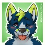  1:1 2020 anthro blep blue_eyes blush canid canine canis domestic_dog green_background male mammal mytigertail one_eye_closed patreon patreon_link patreon_logo simple_background solo tongue tongue_out wink 