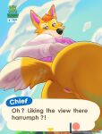  2020 animal_crossing anthro anus blue_sky bottomless butt canid canine canis chief_(animal_crossing) clothed clothing cloud day dialogue dialogue_box digital_media_(artwork) english_text fur green_eyes hair header header_box hi_res low-angle_view male mammal narrowed_eyes nintendo orange_body orange_fur outside patreon perineum pink_anus presenting presenting_hindquarters shadowpelt shirt sky solo text text_header topwear url video_games white_clothing white_shirt white_topwear wolf worm&#039;s-eye_view 
