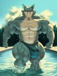  2021 abs absurd_res anthro barazoku beastars biceps big_bulge big_muscles bulge canid canine canis clothing cloud day detailed_background dripping eyebrows front_view fur guzreuef hi_res huge_bulge huge_muscles legoshi_(beastars) looking_at_viewer male mammal muscular muscular_anthro muscular_male navel obliques outside partially_submerged pecs plant quads scar sky solo speedo splash swimming_pool swimwear thick_thighs tree tuft vein veiny_muscles walking water wet wet_body wet_fur wolf 