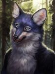  2021 black_lips black_nose blue_body blue_eyes blue_fur canid canine day detailed_background digital_media_(artwork) fangs forest fox fur hi_res lips mammal open_mouth outside plant teeth tongue tongue_out tree white_body white_fur wolnir 
