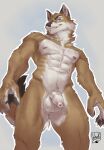  anthro balls biped brown_body brown_fur canid canine canis flaccid foreskin fur genitals grin hi_res humanoid_genitalia humanoid_penis lion21 long_foreskin looking_at_viewer male mammal muscular muscular_male nipples nude penis simple_background smile solo unretracted_foreskin white_body white_fur wolf 