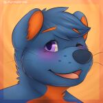  1:1 2016 anthro blue_body blue_ears blue_fur blue_hair blush eyebrow_through_hair eyebrows fur hair looking_at_viewer male mytigertail one_eye_closed open_mouth orange_background orange_body orange_eyebrows orange_fur orange_inner_ear pink_tongue purple_eyes short_hair signature simple_background smile solo species_request tongue translucent translucent_hair whiskers 
