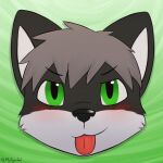  2016 ambiguous_gender anthro blush canid canine fox green_background green_eyes mammal mytigertail signature simple_background solo tongue tongue_out 