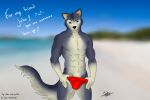  2013 3:2 abs anthro blue_eyes bulge canid canine canis clothed clothing domestic_dog ear_piercing ear_ring english_text hi_res husky looking_at_viewer male mammal mytigertail navel nordic_sled_dog piercing signature solo spitz text topless 