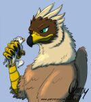  avian beak bird_feet blue_eyes brown_body der duo feathered_crest feathered_wings feathers female feral green_eyes grey_body gryphon gyrotech head_crest male micro mythological_avian mythology omny87 paws quadruped serilde size_difference tail_tuft tuft white_body wings 