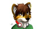  2013 anthro brown_eyes canid canine clothing ear_piercing ear_ring fox green_clothing green_shirt green_topwear headphones looking_at_viewer male mammal mytigertail piercing shirt signature simple_background solo topwear white_background 