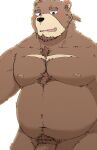 2021 anthro belly black_nose blush brown_body brown_fur fur genitals hagom hi_res kemono male mammal moobs navel nipples overweight overweight_male penis pubes simple_background solo ursid white_background 