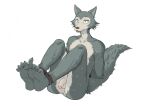  5_toes anthro barefoot bdsm beastars bondage bound canid canine canis feet flaccid foot_fetish foot_focus genitals hands_behind_back hands_tied humanoid_feet legoshi_(beastars) legs_tied legs_up male mammal nervous nude on_bottom pawstickle penis plantigrade restrained restraints rope rope_bondage simple_background soles solo submissive submissive_male toes wolf 