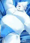  2021 anthro balls_outline belly black_nose blush bulge clothing fur genital_outline hi_res kawakyun1 kemono male mammal moobs overweight overweight_male penis_outline polar_bear solo underwear ursid ursine white_body white_fur 