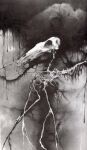  1991 abstract abstract_background bone creepy dripping equid equine feral greyscale horse mammal monochrome scary_stories_to_tell_in_the_dark skeleton skull solo stephen_gammell story_at_source surreal traditional_media_(artwork) 