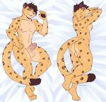  amur_leopard anthro balls bed bedroom_eyes body_pillow butt cole_(cole_rs) daki dakimakura_design dakimakura_pillow dakimakura_pose dakimakura_style digital_media_(artwork) erection felid front_view fur furniture genitals hair hi_res humanoid_genitalia humanoid_penis leopard looking_at_viewer lying male mammal narrowed_eyes nipples nude on_bed pantherine penis pillow rookie_bear scar seductive simple_background smile solo spots spotted_body spotted_fur 