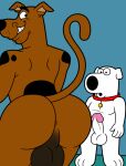 anthro anthrofied anus balls big_balls big_butt brian_griffin butt canid canine canis collar domestic_dog duo erection family_guy genitals hanna-barbera hi_res looking_back male male/male mammal penis red_collar scooby-doo scooby-doo_(series) smile tbfm teeth 