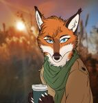  2021 5_fingers autumn beverage blue_eyes brown_clothing canid canine clothing coffee coffee_cup container cup disposable_cup female feral fingers fox green_clothing hi_res mammal marjani solo sun 