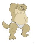  2018 anthro belly big_belly brown_body brown_fur bulge canid canine canis canson claws clothed clothing fangs fur hands_behind_back hi_res male mammal musclegut muscular navel nipples overweight plantigrade simple_background solo topless underwear white_background wolf 