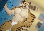  18plusplus abs anthro bulge clothing felid locker_room low_res male mammal nipples pantherine pecs solo speedo swimwear tiger 