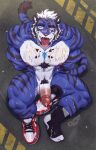  absurd_res anthro balls blue_body blue_eyes blue_fur bodily_fluids clothing cum felid footwear footwear_only fur genital_fluids genitals hair hands_behind_back hi_res male mammal mostly_nude muscular muscular_anthro muscular_male nipples pantherine pecs penis shoes socks solo tiger tiger_est tongue tongue_out white_hair 