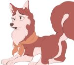  2021 balto_(film) canid canine canis cute_fangs domestic_dog feral fur hi_res husky jenna_(balto) mammal multicolored_body multicolored_fur nordic_sled_dog open_mouth red_body red_fur simple_background solo spitz tohupo two_tone_body two_tone_fur white_background white_body white_fur 