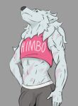  anthro big_bulge bulge canid canine canis clothing crop_top fur haru_(disambiguation) haruthedog male mammal pink_top scar shirt solo topwear underwear white_body white_fur wolf 