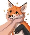  2021 blep canid canine digital_media_(artwork) duo feral flashw fox human mammal simple_background smile tongue tongue_out white_background 