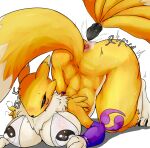  anthro anus ass_up bandai_namco big_breasts blush bottomless breasts butt buttplug buttplug_tail censored clothed clothing cottontail digimon digimon_(species) fake_tail female fur gaping gaping_anus hi_res nipple_outline plug_(sex_toy) renamon sex_toy simple_background solo white_background yellow_body yellow_fur 