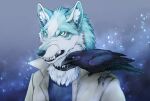  2020 anthro avian bird black_collar black_lips blue_body blue_eyes blue_fur brand_new_animal canid canine canis clothed clothing collar corvid corvus_(genus) crow duo feathers feral fur kuro_(brand_new_animal) lips male mammal oscine passerine shirou_ogami soukosouji studio_trigger topwear white_body white_fur wolf 