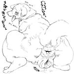  anus bestiality dog furry monochrome nezumi nezunezu pussy saliva spread_anus tongue translation_request 