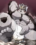  abs accessory anthro bathing blush body_hair bulge canid canine canis chest_hair feet foot_focus fur grey_body grey_fur headband hi_res horkeukamui hot_spring kaki_no_tane1 lifewonders looking_at_viewer male mammal nipples pecs scar solo tokyo_afterschool_summoners towel video_games water wet wolf 
