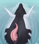  2021 anatomically_correct anatomically_correct_genitalia animal_genitalia animal_penis black_and_white_body black_body black_markings black_skin bottlenose_dolphin cetacean cetacean_penis delphinoid erection eyes_closed feral fin genitals hi_res lying male mammal marine markings mottled mottled_genitalia mottled_penis multicolored_body nude oceanic_dolphin oliver_(ollydolphin) ollydolphin on_back penis pink_penis presenting presenting_penis smile solo tapering_penis toothed_whale water white_body white_markings white_skin 
