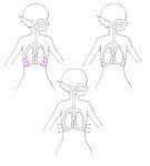  ambiguous_gender anatomy breathing diagram ear_fins female fin gills hi_res humanoid humanoid_pointy_ears kaname_buccaneer lung macross madiblitz marine merfolk model_sheet organs solo split_form 