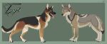  animal_genitalia canid canine canis domestic_dog duo feral fully_sheathed fur genitals german_shepherd herding_dog husky hybernation male mammal model_sheet multicolored_body multicolored_fur nordic_sled_dog pastoral_dog sheath simple_background spitz standing tongue tongue_out 