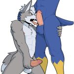  1:1 anthro avian bird canid canine canis duo erection falco_lombardi genitals hi_res jrjresq licking male male/male mammal masturbation nintendo oral penile penis penis_lick sex star_fox tongue tongue_out video_games wolf wolf_o&#039;donnell 