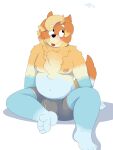  3:4 absurd_res anthro bluey_(series) blush bulge cake_top canid canine clothing digital_media_(artwork) fluffy_chest fur hair hi_res male mammal multicolored_body neck_tuft nipples radley_heeler simple_background smile solo tuft underwear 