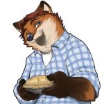  1:1 2016 alpha_channel anthro black_nose blue_eyes brown_body brown_hair canid canine clothing dessert disney food fox gideon_grey hair humanoid_hands lassenby male mammal overweight overweight_male pie shirt simple_background solo topwear transparent_background zootopia 