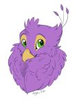  avian beak bird feathers feral fluffy galliform green_eyes gryphon gyro_feather gyrotech male mythological_avian mythology peafowl phasianid pink_body portrait silvyr solo 