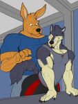  3:4 anthro brown_body brown_fur canid canine canis clothed clothing cooper domestic_dog finlll fur grey_body grey_fur grinding gym hi_res kangaroo larger_male looking_back macropod male male/male mammal marsupial maurice multicolored_body multicolored_fur muscular muscular_anthro muscular_male nexus semple shirt size_difference smaller_male soaktown t-shirt tank_top topwear two_tone_body two_tone_fur white_body white_fur wolf 