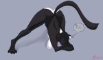  2021 absurd_res alvaz anthro black_body black_fur black_hair domestic_cat felid feline felis female fur hair hi_res inner_ear_fluff jack-o&#039;_pose kana mammal pose solo tuft white_body white_fur white_inner_ear_fluff 