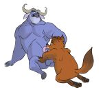  2016 anthro blue_body bovid bovine brown_body cape_buffalo chief_bogo disney duo erection genitals gideon_grey hamsterinboxers licking male male/male mammal oral overweight overweight_male penile penis penis_lick sex simple_background sitting tongue tongue_out white_background zootopia 