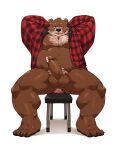  2021 absurd_res anal anal_penetration anthro belly black_nose blush bodily_fluids brown_body chair clothed clothing dildo dildo_in_ass dildo_insertion erection furniture genitals hi_res humanoid_genitalia humanoid_penis jumperbear kemono male mammal mature_male moobs nipples open_clothing open_shirt open_topwear overweight overweight_male penetration penis sex_toy sex_toy_in_ass sex_toy_insertion shirt simple_background sitting solo sweat topwear ursid white_background 