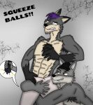  anthro ballbusting balls big_balls canid canine canis cock_and_ball_torture duo fur genital_torture genitals grey_body grey_fur hair male male/male mammal nicolasthewolf pain prank purple_hair squeezing_balls towel wolf 