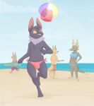  anthro ball beach beach_ball bikini bikini_thong bulge chiropteran clothing digital_media_(artwork) eyewear fauvfox female glasses grey_body group hi_res inflatable male mammal neck_tuft sean-zee_petit seaside shaded surfboard swimming_trunks swimwear tuft yellow_eyes 